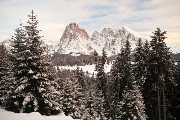 Vista Panoramica Una Bella Natura — Foto Stock