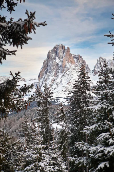 Scenic View Beautiful Nature — Stock Photo, Image