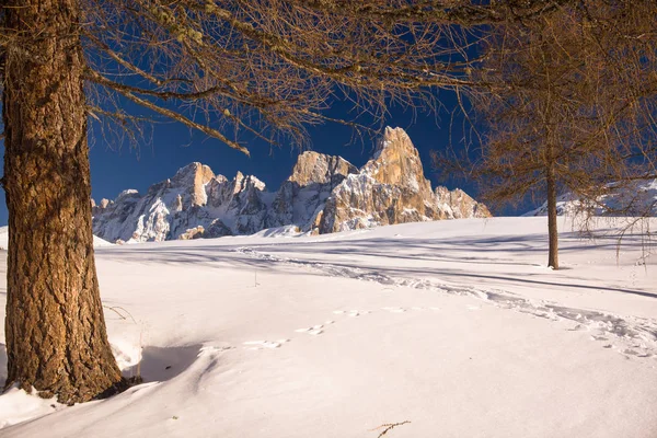 Monte Cimon Della Pala Pale San Martino — Foto Stock