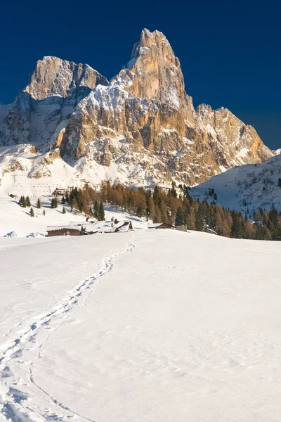 Malerischer Blick Auf Die Schöne Natur — Stockfoto