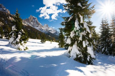 güzel doğa doğal görünümü 