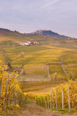 güzel doğa doğal görünümü 