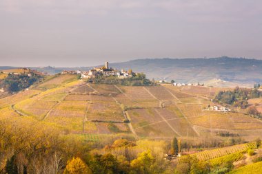 Sonbaharda Langhe manzara, Piedmont, İtalya