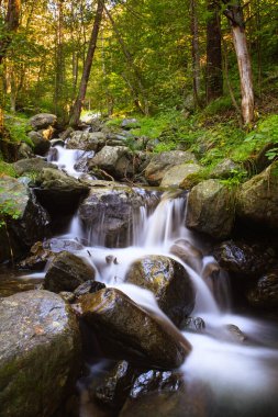 Güzel manzaranın manzarası