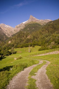 Güzel manzaranın manzarası