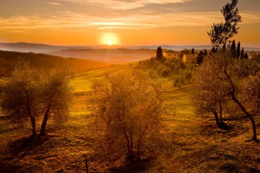 Val d 'Orcia ya da Valdorcia' nın inanılmaz manzarası, Orta İtalya, Toskana bölgesi.