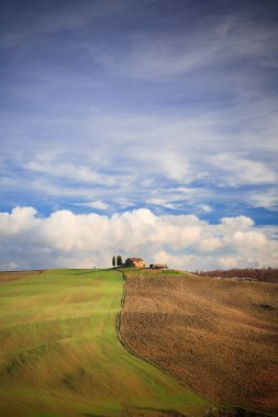 Tarlaları ve çayırları olan kırsal alan
