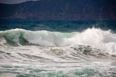 deniz in doğal görünümü, seçici odak