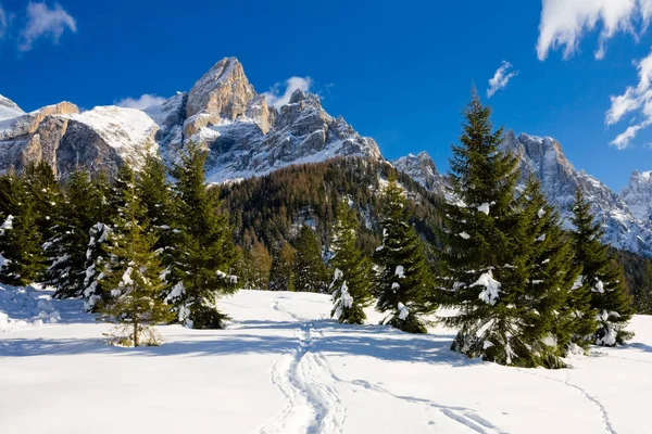 Vista Panoramica Una Bella Natura — Foto Stock