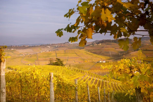 Vista Panorâmica Langhe Outono Piemonte Itália — Fotografia de Stock