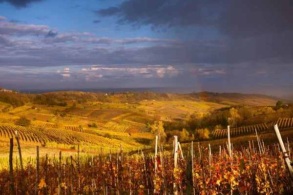 Malowniczy Widok Langhe Jesienią Piemont Włochy — Zdjęcie stockowe