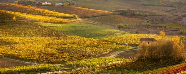 Vista Panoramica Una Bella Natura — Foto Stock