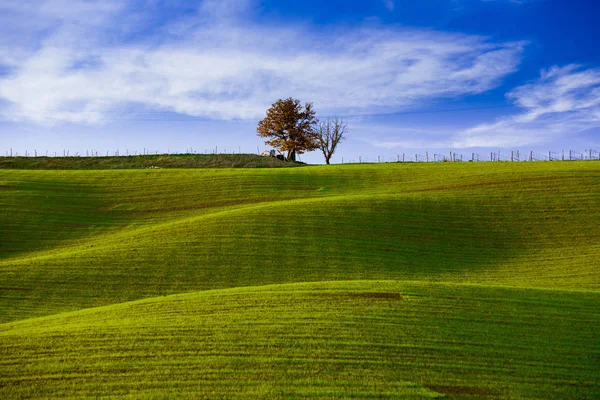 Vista Incrível Val Orcia Valdorcia Região Toscana Centro Itália Gramado — Fotografia de Stock