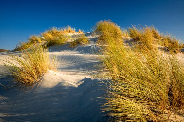 Dunes of Porto Pino, Teulada, Sardinia, Italy