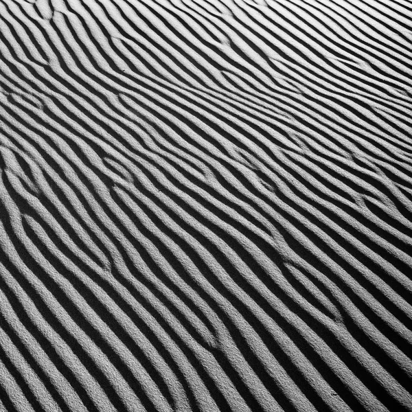 Vacker Utsikt Över Vackert Landskap Sanddyner — Stockfoto