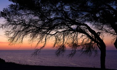 deniz in doğal görünümü, seçici odak