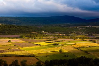 Sault Provence 'da ekili tarlaların üzerinde gün doğumu