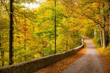 güzel doğa doğal görünümü