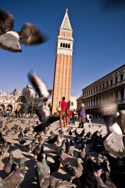 San Marco Meydanı ve Çan Kulesi, Venedik, İtalya