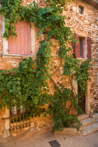 Widok Fasadę Starego Budynku Zielonymi Roślinami Zielonym Bluszczem Prowansja Francja — Zdjęcie stockowe