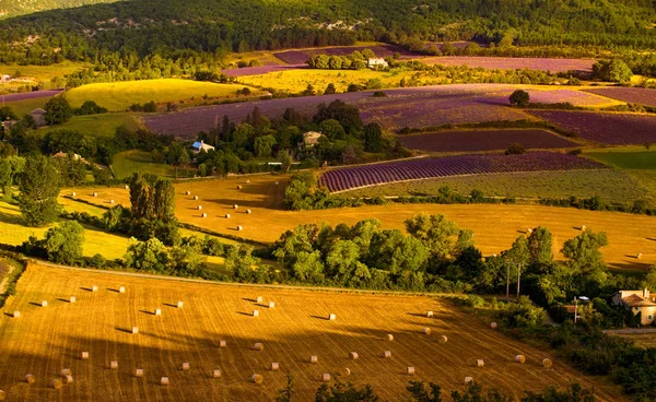 Nascer Sol Sobre Campos Cultivados Sault Provence — Fotografia de Stock