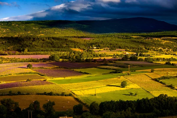 Sonnenaufgang Über Bestellten Feldern Der Sault Provence — Stockfoto