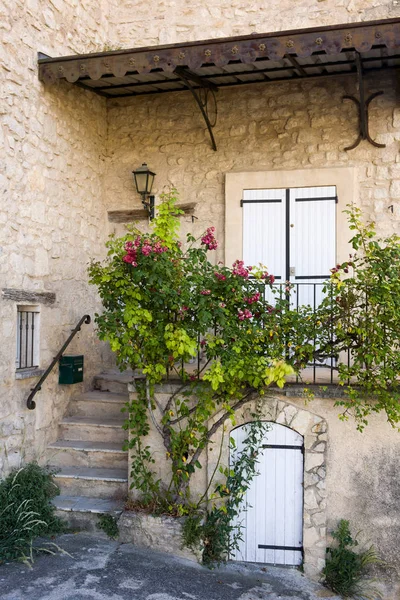 Stary Dom Pięknymi Roślinami Prowansja Francja — Zdjęcie stockowe