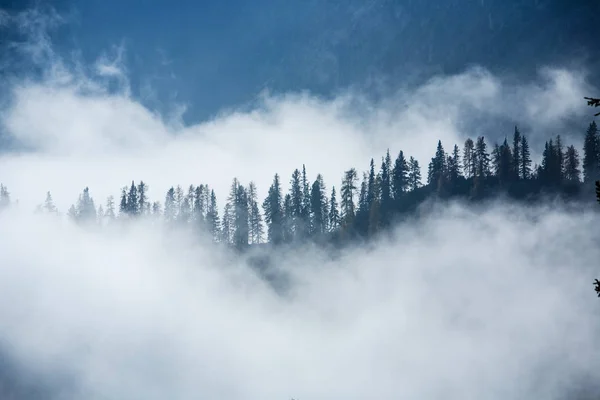 Vista Panorámica Las Montañas Día Niebla Enfoque Selectivo — Foto de Stock