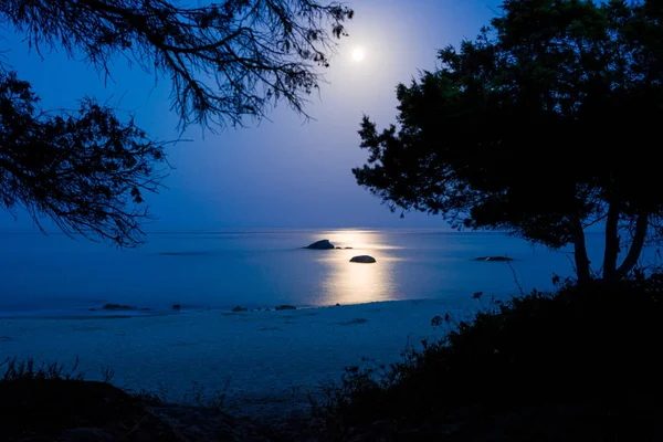 Marine Night Landscape Full Moon Royalty Free Stock Images