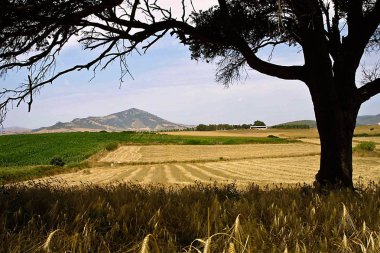 İtalya, Paesaggio Entroterra Sardo 'nun manzarası