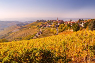 Treiso, Langhe, Piedmont, İtalya 'da sonbahar