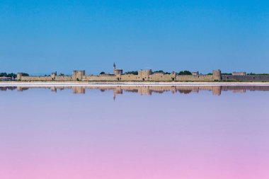 Saline of Aigues Mortes, Fransa