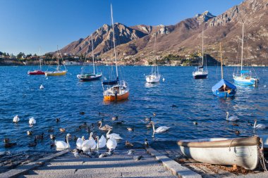 dağların doğal görünümü, seçici odak