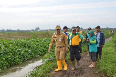 30 Ocak 2018, Endonezya, Batang / Jawa Tengah Hamamböceklerinden nehri temizleyin.