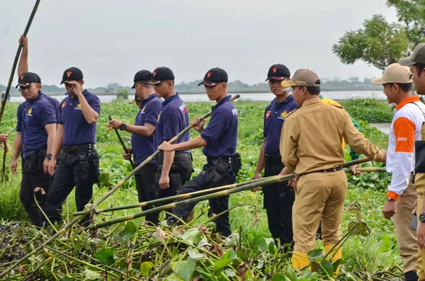 Прибиральники Громада Очищають Річку Від Шкідників Гіацинту Батанг Джава Тенга — стокове фото