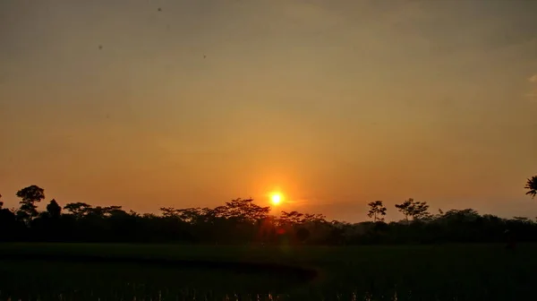 A beleza do nascer do sol nos campos de arroz — Fotografia de Stock