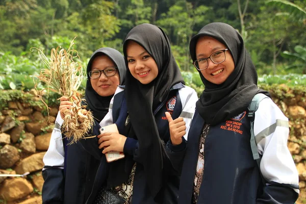 2019년 17일 인도네시아에서 공무원 사람들이 참여하는 밭에서 수확하는 — 스톡 사진