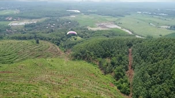 Gleitschirmflieger Aktion Auf Dem Sikuping Hill Batang Zentraljava Indonesien April — Stockvideo