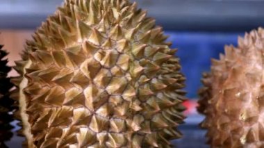 Gelinsel Durian / Durian Musang, Güneydoğu Asya'nın en pahalı durians biri, tadı iyi, biraz acı ve çok lezzetli