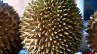 Gelinsel Durian / Durian Musang, Güneydoğu Asya'nın en pahalı durians biri, tadı iyi, biraz acı ve çok lezzetli
