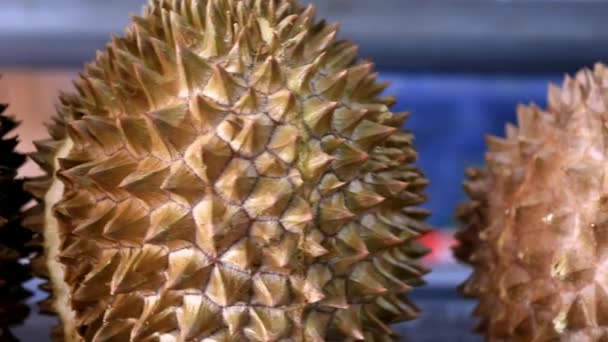 Vessla Durian Durian Musang Dyraste Durianerna Sydostasien Smakar Gott Lite — Stockvideo