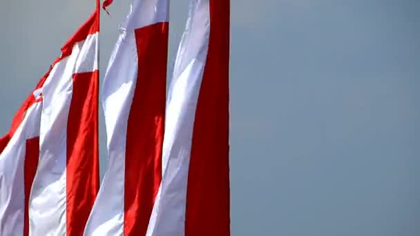 Банери Червоними Білими Мотивами Мерехтять Вітрі Ювілейний Червоно Білий Прапор — стокове відео