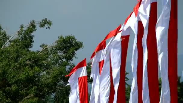 Bannerek Piros Fehér Motívumokkal Csapkodott Szél Évforduló Vörös Fehér Zászló — Stock videók