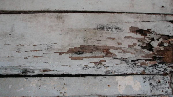 The white wooden planks of the house which have started to decay and have holes