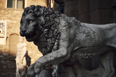 İtalyan aslan heykeli