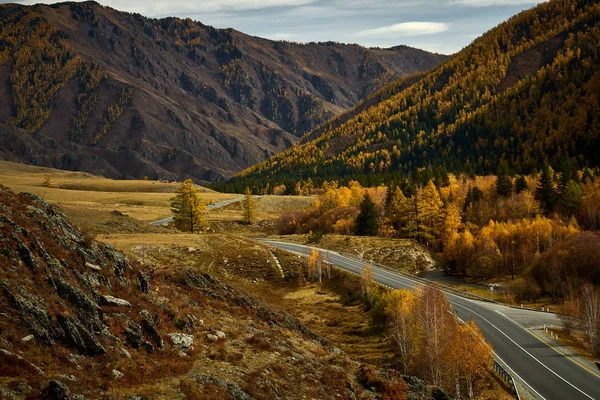 Camino de asfalto a las montañas de Altai pasando por el paisaje otoñal — Foto de Stock