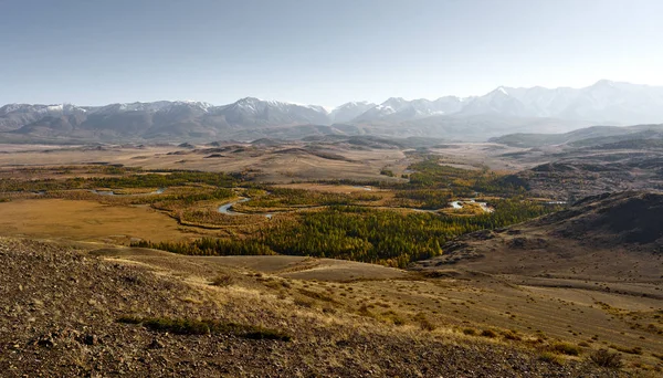Altay Dağları ve Kurai bozkır büyük peyzaj