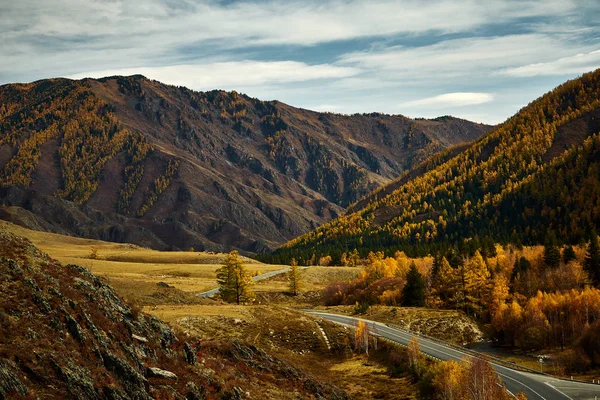 Асфальтована дорога до гори Алтай, проходячи через осінній пейзаж — стокове фото
