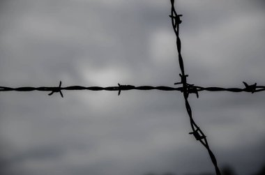 Dachau toplama kampının dikenli tel duvarları
