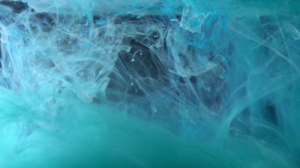 Scheidungen von Acrylfarbe auf schwarzem Hintergrund weiß blaue Farbe — Stockvideo